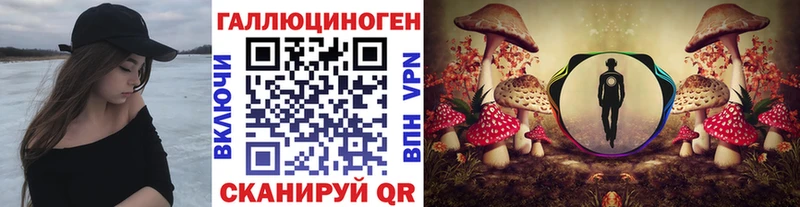 Псилоцибиновые грибы Psilocybine cubensis  купить наркоту  Новоалександровск 